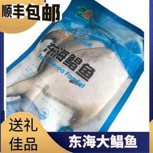 1斤1条东海鲳鱼新鲜冷冻白鲳鱼银鲳鱼野生平鱼海鲜水产活扁鲳鱼