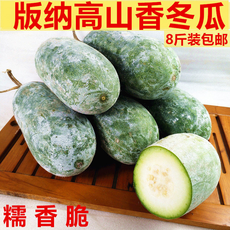 香冬瓜 小冬瓜新鲜翠玉冬瓜云南版纳高山农家白毛冰川蔬菜8斤包邮