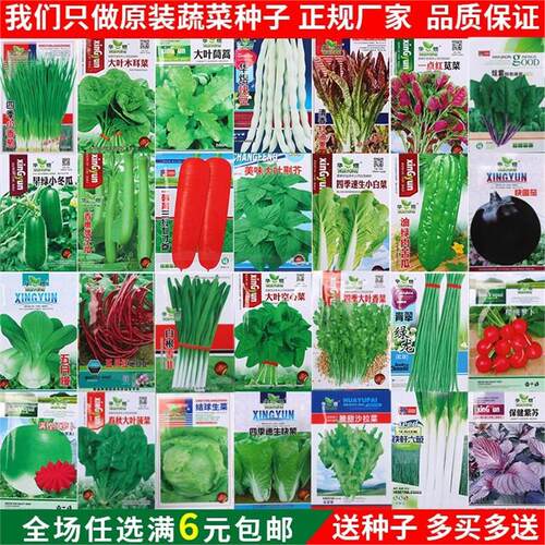蔬菜种子菜园阳台四季播种盆栽菠菜萝卜辣椒生菜小葱香菜种籽大全