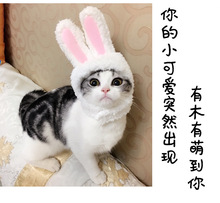 宠物猫咪狗狗白色兔耳朵帽子立耳小白兔小白熊造型帽可爱卖萌拍照