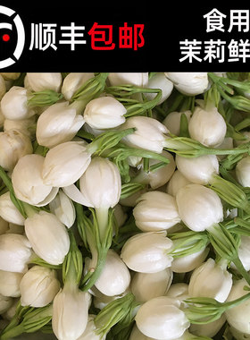 广西横县现摘茉莉花蕾可食用