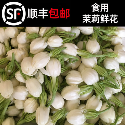 广西横县现摘茉莉花蕾可食用