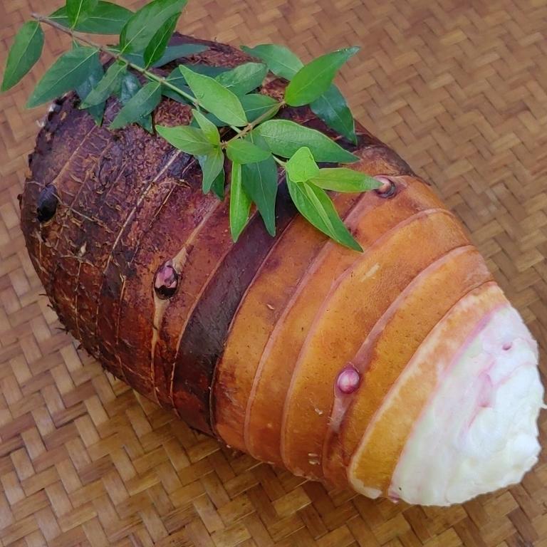 广西荔浦品种香芋现挖新鲜槟榔芋