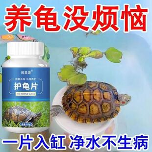 护龟片乌龟消毒片专治腐皮烂甲白眼病厌食净化水质杀菌宠物消毒液