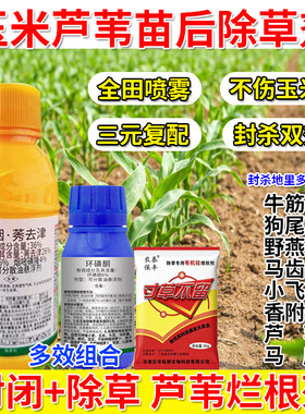 玉米芦苇全草杀只除草不伤苗