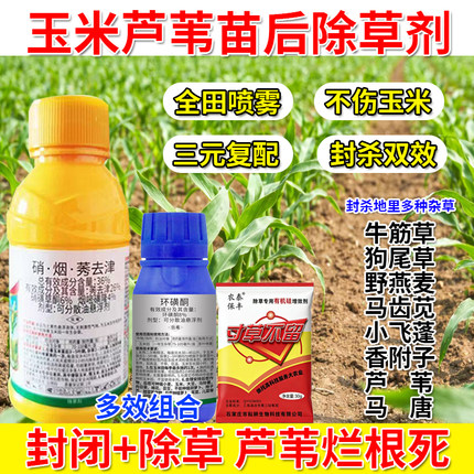 玉米芦苇全草杀只除草不伤苗玉米苗后除草剂香附子牛津草死根烂根