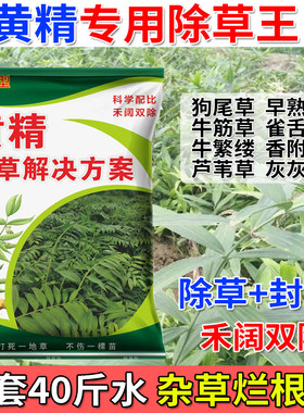黄精苗后除草剂禾阔双除不伤苗