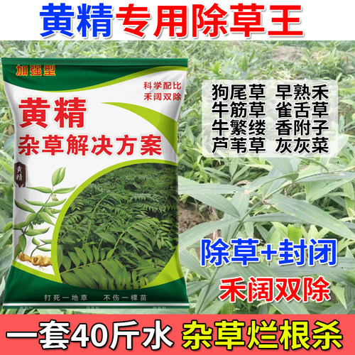 黄精苗后除草剂禾阔双除不伤苗