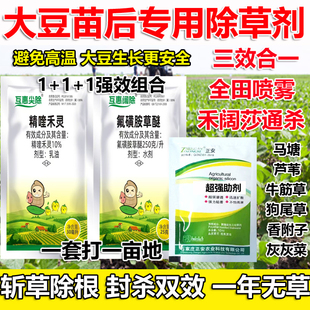 大豆除草剂大豆田苗后专用除草剂黄豆专用尖叶阔叶除草剂大豆专用