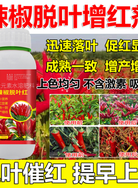 辣椒脱叶红辣椒红色落叶红快速脱叶不落果干朝天椒催红素整箱批发