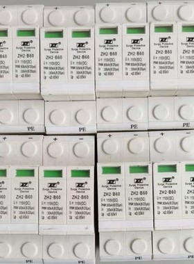 全新扬州中恒inMAX60KA直流电源浪涌保护器ZH2-B60/2P-DC110V