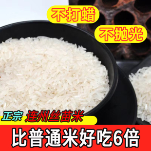 清远丝苗米2025新米梯田象牙香米油粘米连州农家生态散装宝宝大米