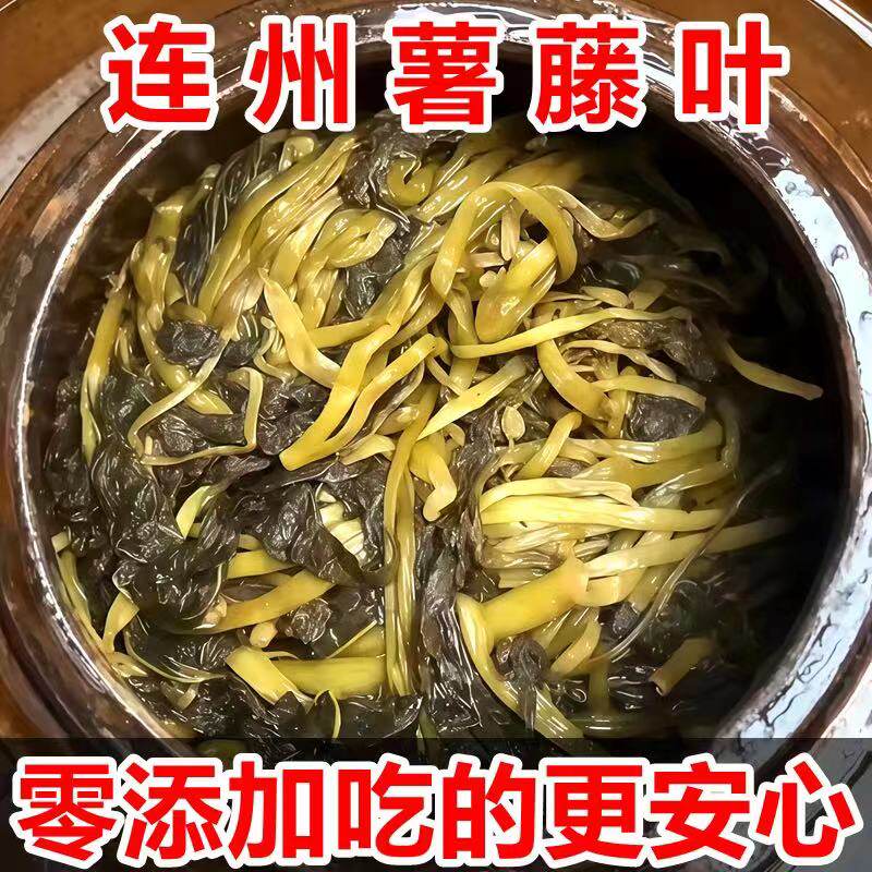 连州酸菜地瓜叶客家自制酒糟酸菜番薯叶酸芥菜老坛腌制泡菜开胃菜