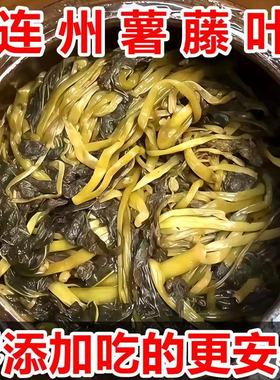 连州酸菜地瓜叶客家自制酒糟酸菜番薯叶酸芥菜老坛腌制泡菜开胃菜