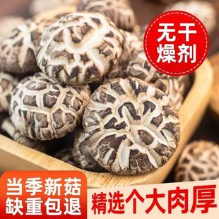 粤北花菇农家野生食用菌新鲜蘑菇冬菇新货高山薄香菇散装干货煲汤