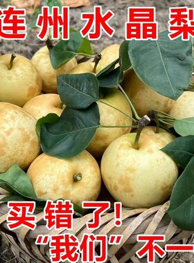 广东连州富硒水晶梨当季脆甜水果
