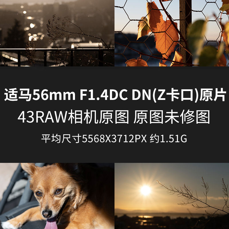 适马56mmF1.4DCDN(Z卡口)原片原图RAW+JPG相机直出未修图素材图片