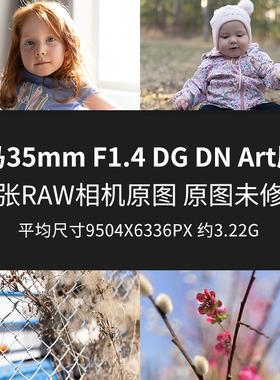 适马35mm F1.4 DG DN Art原片原图RAW+JPG相机直出未修高清素材图