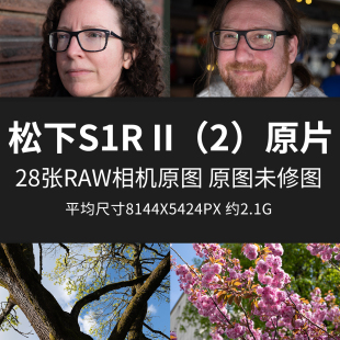 松下S1R II（2）原片原图RAW+JPG相机直出图未修摄影高清素材图片