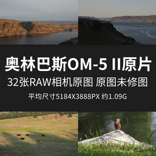 II原片样片RAW JPG相机直出未修原图高清摄影素材图 奥林巴斯OM
