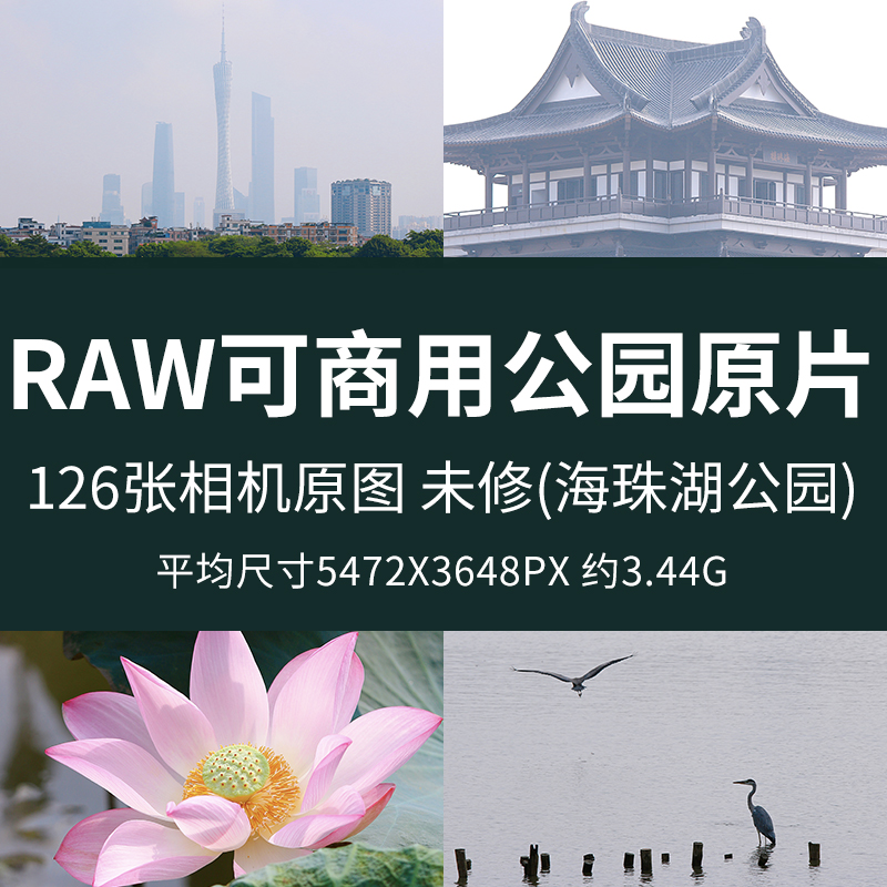 RAW可商用公园原片高清raw图广州塔白鹭鸭子树叶荷花建筑摄影图片