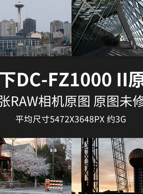 松下DC-FZ1000II原片原图RAW+JPG相机直出未修图练习素材摄影图片