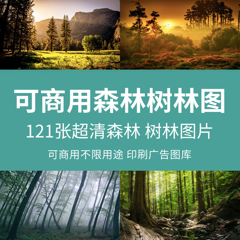 可商用森林树林图超大超高清山林图片热带雨林风景自然印刷素材图