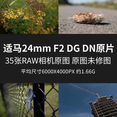 适马24mm F2 DG DN原片样片RAW+JPG相机直出原图未修素材摄影图片