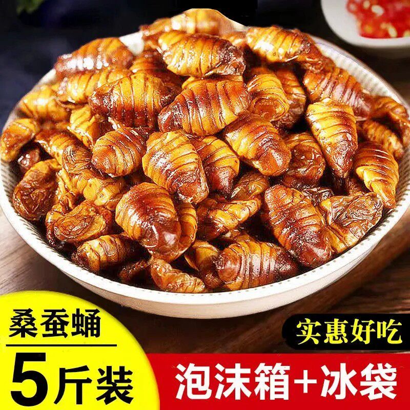 5斤山东特产桑蚕蛹生蚕蛹蛹子新鲜干净生小蚕蛹茧蛹蛹蝉冷冻包邮