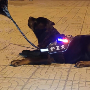 狗狗夜行灯夜间警示灯战术背心