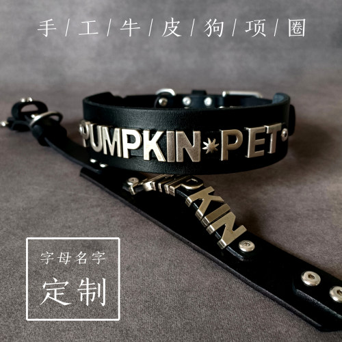 定制英文字母名字狗项圈