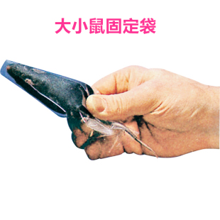 大小鼠固定器固定袋小动物灌胃断头腹腔注射尾静脉固定工厂促销