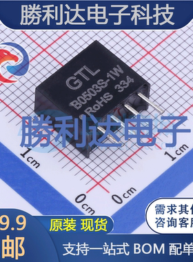 B0503S-1W封装Through Hole电源模块全新现货 量大价优