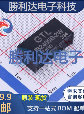 IB2405S-2W封装Through Hole电源模块全新现货 量大价优