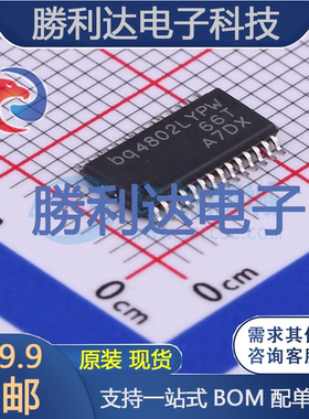 BQ4802LYPW封装TSSOP-28实时时钟RTC 全新现货