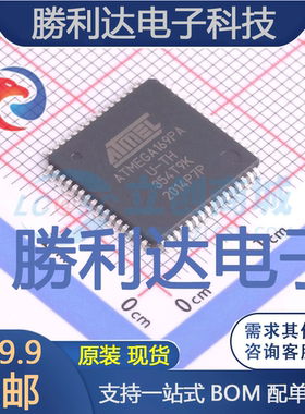 ATMEGA169PA-AU封装TQFP-64_14x14x08PATMELAVR全新现货 量大价优