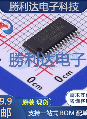CS3818EO封装HTSSOP28音频功率放大器全新现货 量大价优
