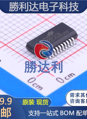 HT66F018封装SSOP-20_150mil处理器