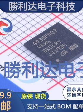 GD32F407VKH6封装BAG-100GigaDevice(兆易创新)全新现货 量大价优