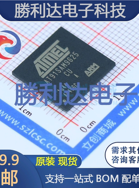 AT91SAM9G25-CU封装BGA-217处理器 全新现货