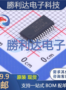 CW1073AAAS封装SSOP24电池管理全新现货 量大价优