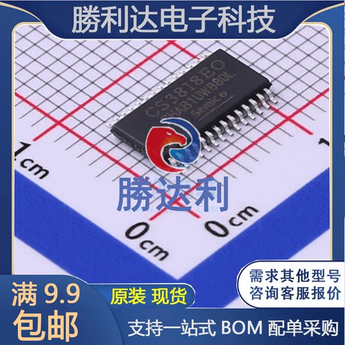 CS3818EO 封装HTSSOP28 音频功率放大器 全新原装现货