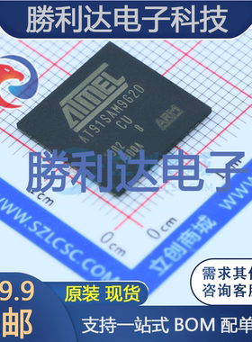 AT91SAM9G20B-CU封装LFBGA-217处理器 全新现货