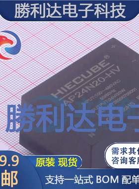 AP24N20-HV封装ThroughHole电源模块