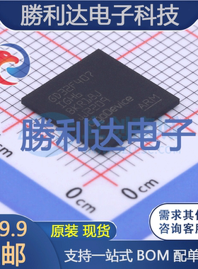 GD32F407IGH6封装BGA176处理器 全新现货