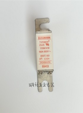 美国BUSSMANN TYPOWER ZILOX 170M1419 160A 660V~保险管熔断器