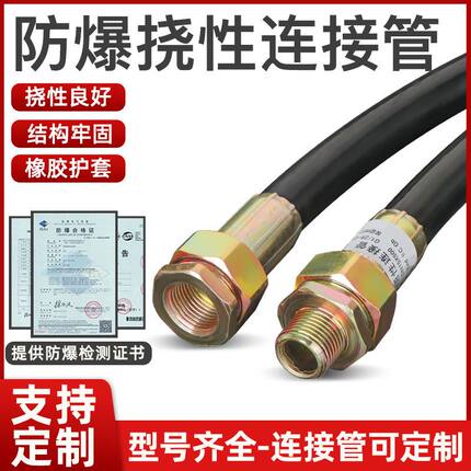 防爆挠性连接管BNG防爆软管挠性接线管4分防爆管6分穿线管挠性管