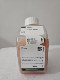 澳洲 141 10099141C 500ml 胎牛血清 10091148 新西兰 Gibco
