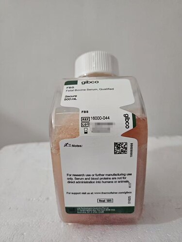 Gibco-10099141C /141 澳洲/新西兰 胎牛血清/10091148 500ml