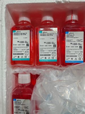 C11875500BT 国产RPMI1640培养基（含L-谷氨酰胺，不含HEPES）